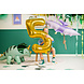Dino Helium Ballon Leeg 115cm Dino Helium Ballon Leeg 115cm