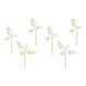 Cocktailprikkers Duif 14,5cm 6st Cocktailprikkers Duif 14,5cm 6st