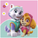Paw Patrol Servetten Skye And Everest 33cm 20st Paw Patrol Servetten Skye And Everest 33cm 20st