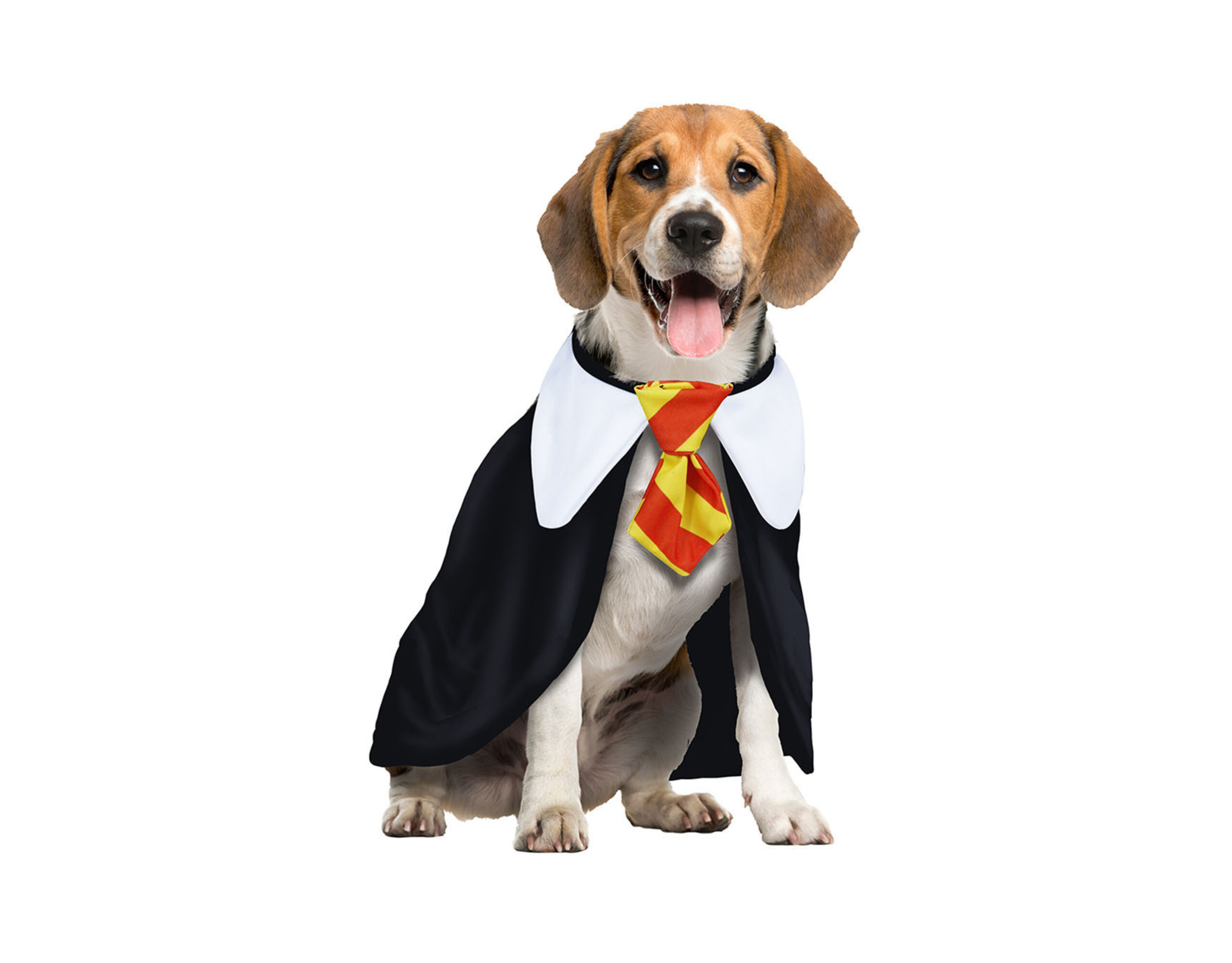Harry Potter Kostuum Hond - Partywinkel
