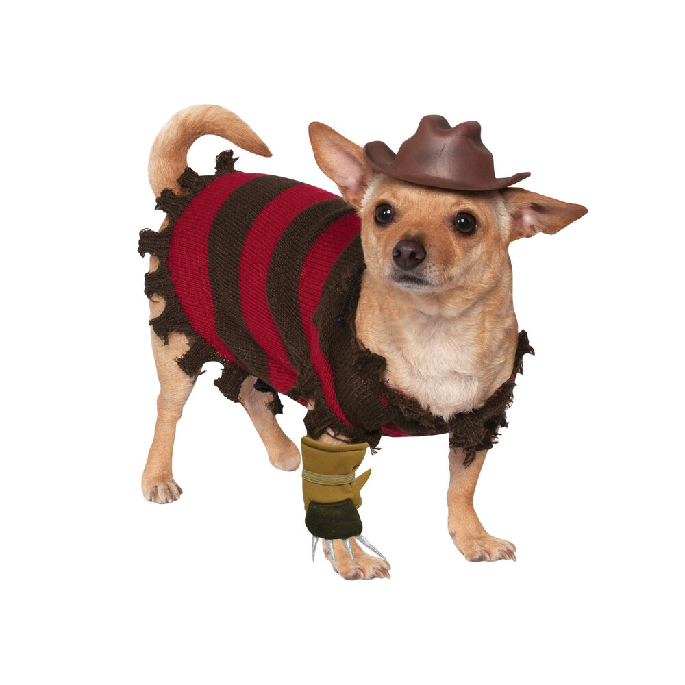 Halloween Honden Kostuum Freddy Krueger Partywinkel