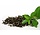 Groene Thee opgiet basic