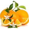 Beauty & Care Orangenblüten parfüm Beauty & Care Orangenblüten parfüm