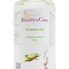 Eucalyptus Essential Oil Eucalyptus Essential Oil