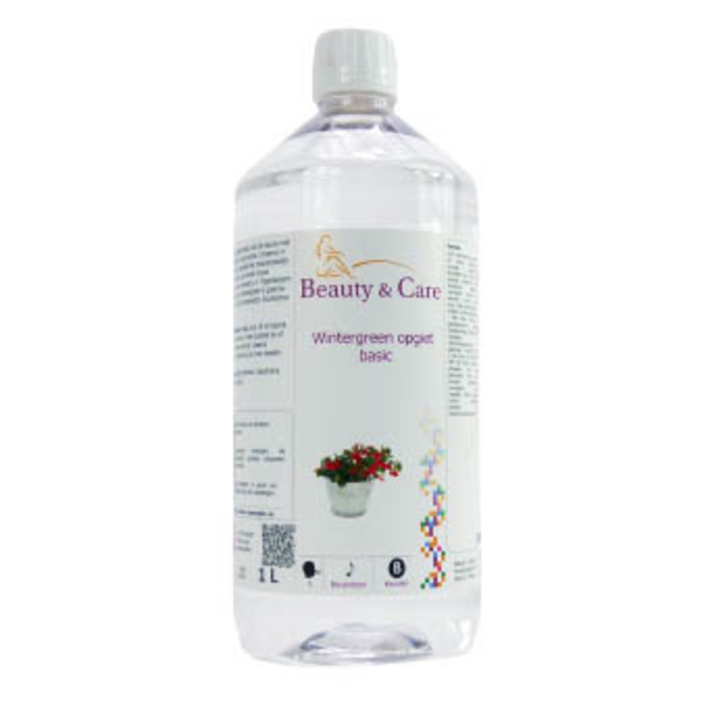 Beauty & Care Wintergrün aufguss basis 1 liter Beauty & Care Wintergrün aufguss basis 1 liter