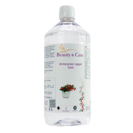 Beauty & Care Wintergrün aufguss basis 1 liter Beauty & Care Wintergrün aufguss basis 1 liter