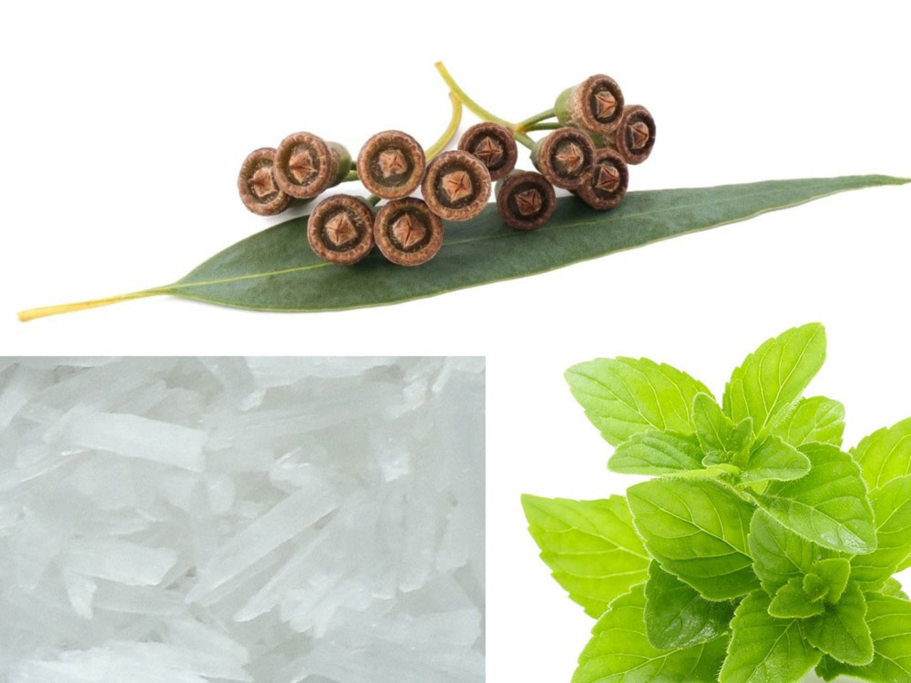 Beauty & Care Eumiment essential oil blend Beauty & Care Eumiment essential oil blend