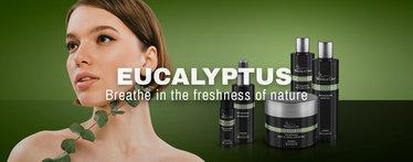 L'eucalyptus est le numéro de parfum de sauna 1