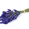 Beauty & Care Lavender Body Scrub Salt Beauty & Care Lavender Body Scrub Salt