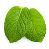 Huile essentielle de menthe des champs Huile essentielle de menthe des champs