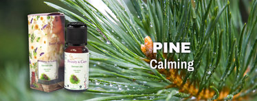 Pine wellness products