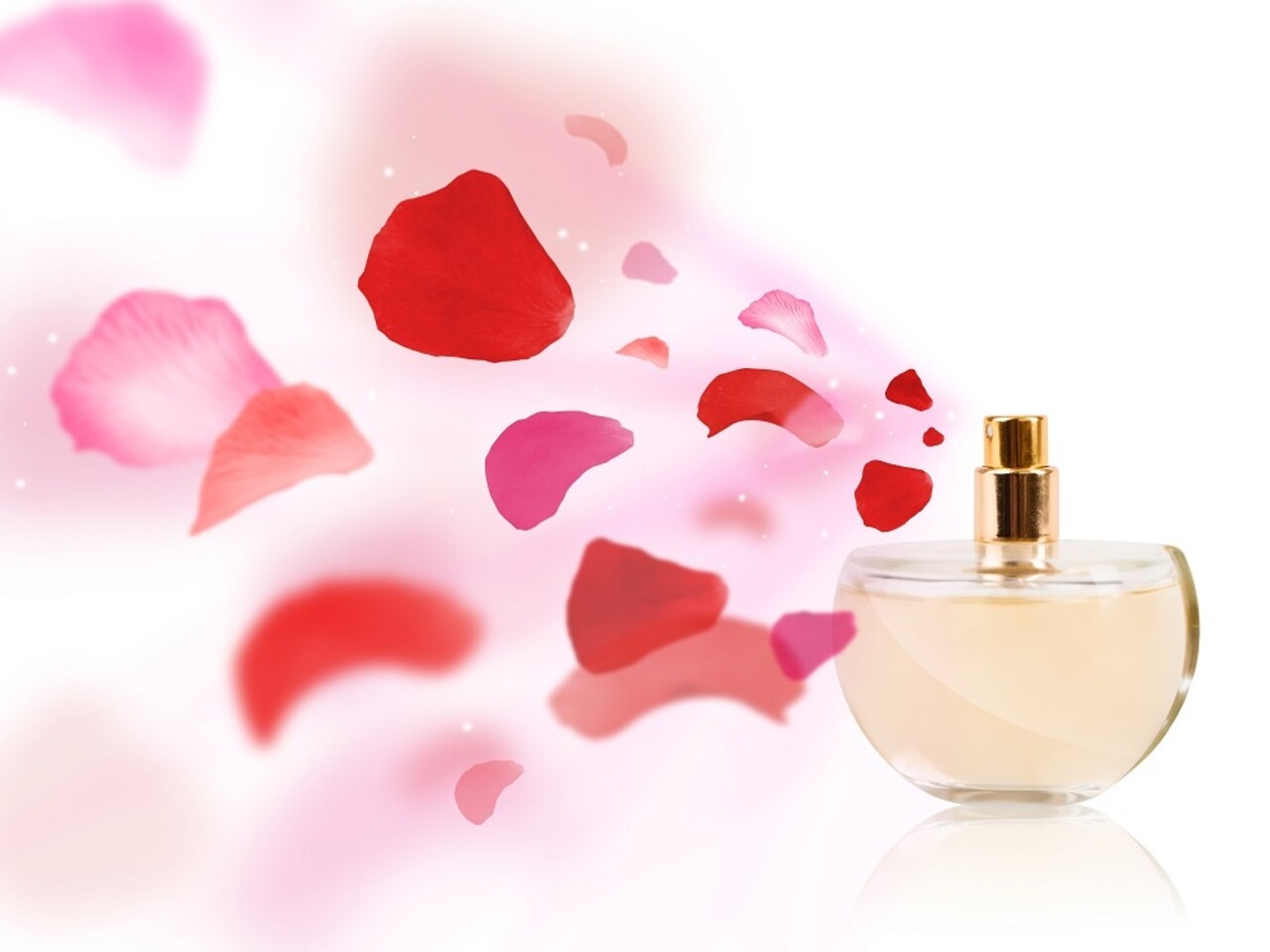 Beauty & Care Rozenmusk opgiet basic Beauty & Care Rozenmusk opgiet basic