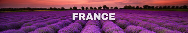 Ambiance française avec nos délicieux Parfums France!