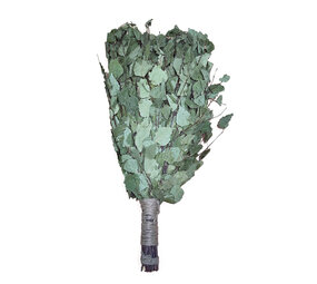 Beauty & Care Birch branches Beauty & Care Birch branches