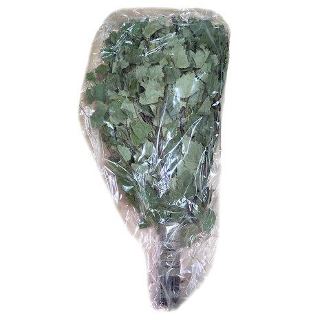 Beauty & Care Birch branches forest Beauty & Care Birch branches forest