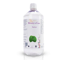 Beauty & Care Mint air Beauty & Care Mint air