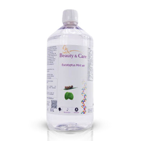 Beauty & Care Eucamint luft Beauty & Care Eucamint luft
