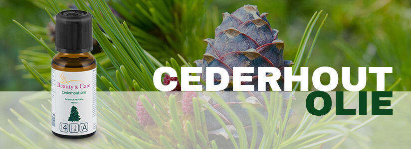 Cederhout olie