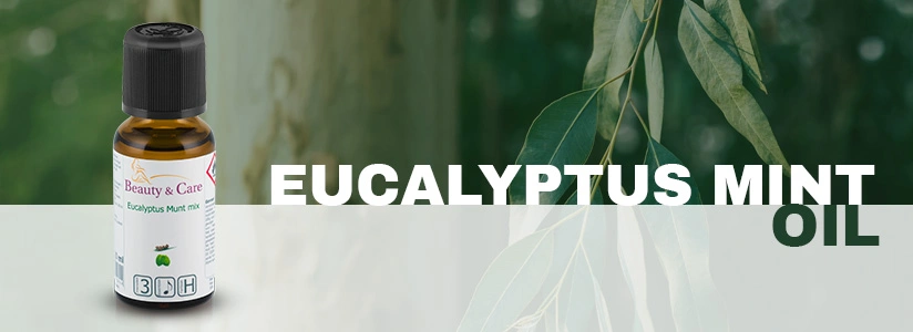 Eucalyptus Mint essential oil blend