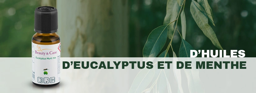 Mélange d’huiles essentielles d’eucalyptus et de menthe