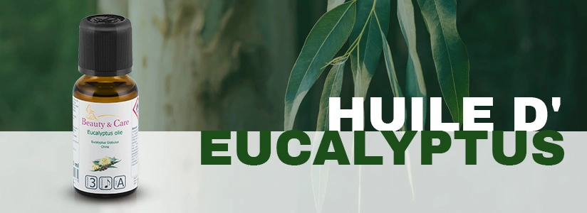 Huile d'eucalyptus