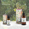 Beauty & Care Linden blossom perfume oil Beauty & Care Linden blossom perfume oil