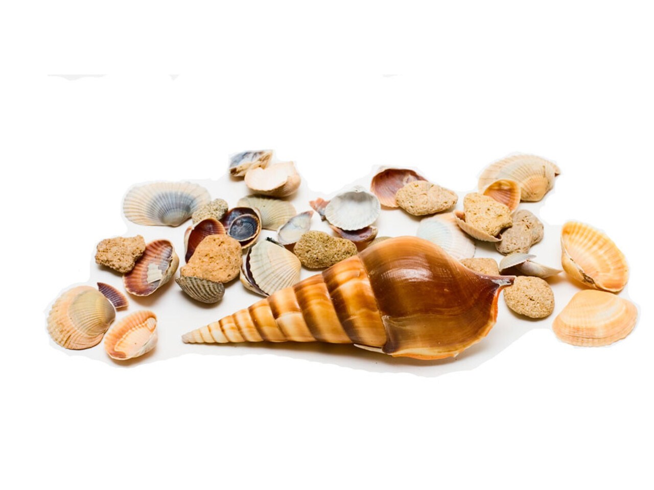 Beauty & Care Oceaan opgiet basic Beauty & Care Oceaan opgiet basic