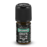 Beauty & Care Kruizemunt olie Beauty & Care Kruizemunt olie