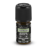 Beauty & Care Eucalyptus olie Beauty & Care Eucalyptus olie