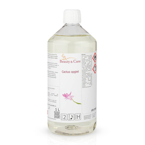 Beauty & Care Cactus arôme sauna Beauty & Care Cactus arôme sauna