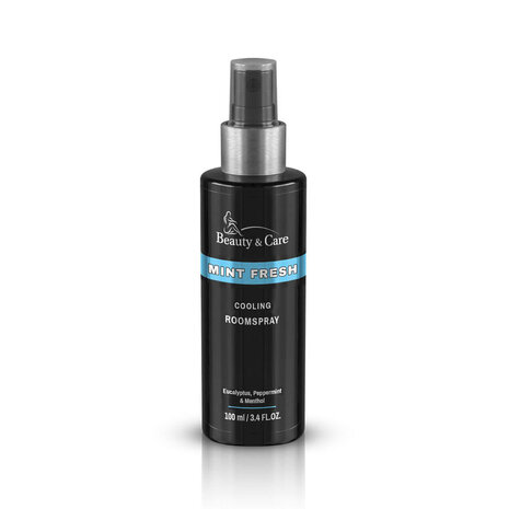Beauty & Care Raumspray mit Minzduft