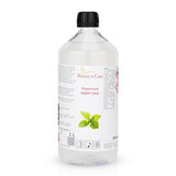 Beauty & Care Menthe poivrée arôme sauna de base