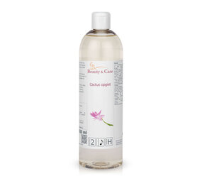 Beauty & Care Cactus opgiet Beauty & Care Cactus opgiet
