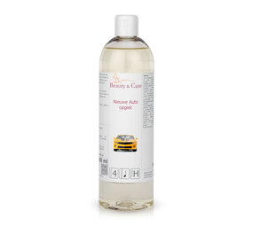 Beauty & Care Nouvelle voiture arôme sauna