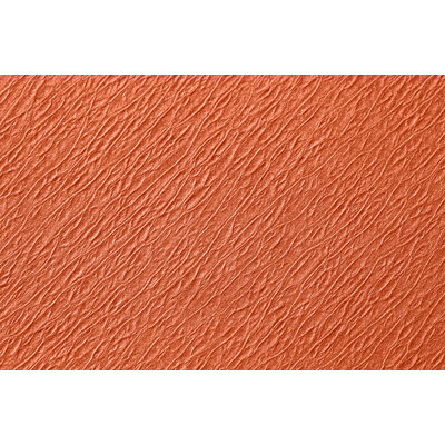 Traypapier Touch of colors oranje ( nog 17 x leverbaar )