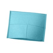 Hoofdsteunzakken Ice Blue, 25 x 33 cm