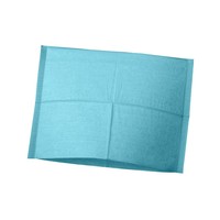 Hoofdsteunzakken Ice Blue, 25 x 33 cm