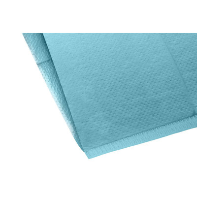 Hoofdsteunzakken Ice Blue, 25 x 33 cm