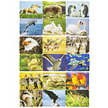 Puzzel dieren