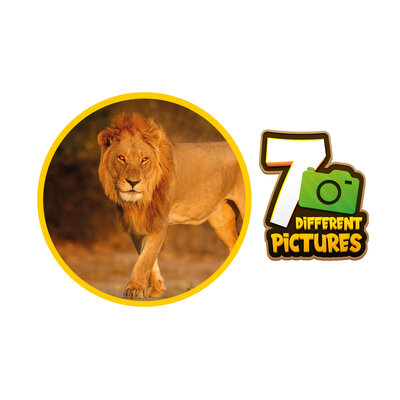 Diakijker Dieren ( voorraad 16 stuks OP = OP)