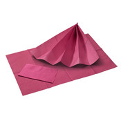 Akzenta Towels Touch of colors fuchsia 2- Laags
