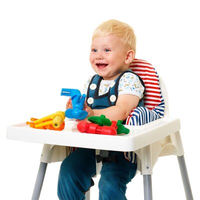 Smartmax My First  Safari Animals 12 mnd+