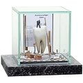 Kunst vitrine supermini 'Witte Tand' afm. 17 x 15 x 15 cm ( voorraad 1 st. OP = OP)