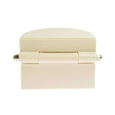 Gebits- demonstratiemodel small ( incl. kleine tandenborstel)