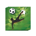 Servetten Voetbal 20 stuks (Voorraad 16 sets OP=OP)