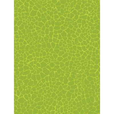 Decopatch Decopatch papier Green