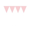 Vlaggenlijn pink dots ( Voorraad: 7 stuks OP=OP!)