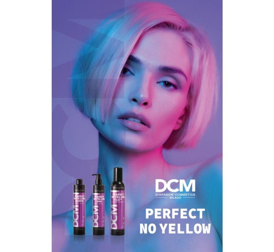 Perfect No Yellow Shampoo 1000ml