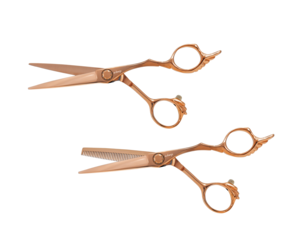 E-Kwip Angel Rose Gold Kappersscharen Set
