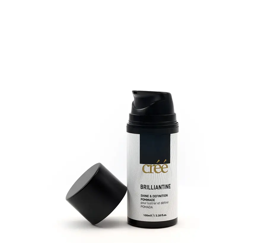 Shine and Definition Pomade 100ml. Per 12 Stuks